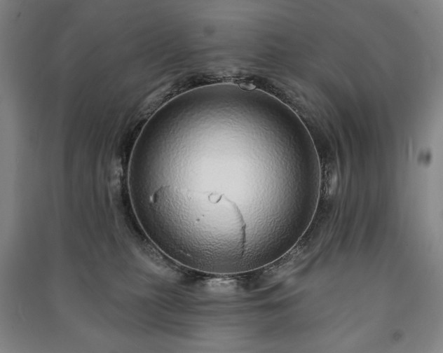 X0000091210279200708161549