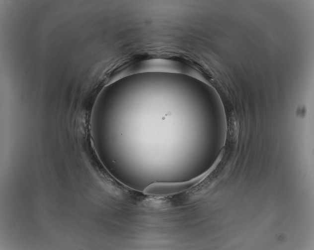 X0000091210280200708161549