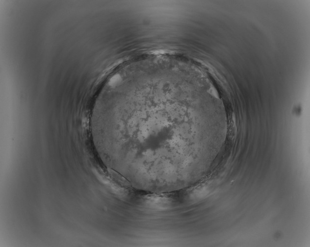 X0000091210284200708161549