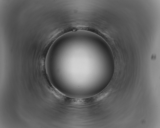 X0000091210288200708161549