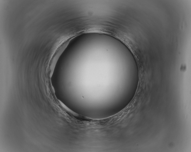 X0000091210289200708161549