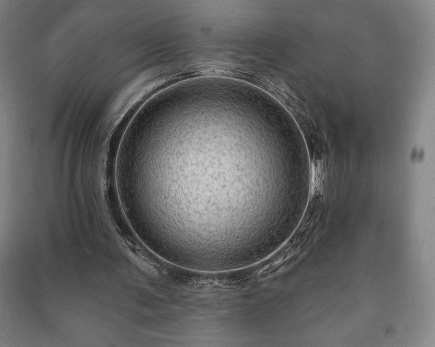 X0000091210291200708161549