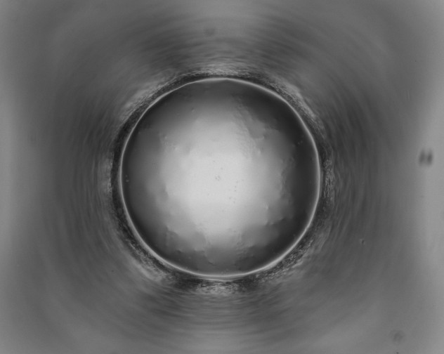 X0000091210299200708161549