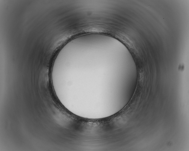 X0000091210302200708161549