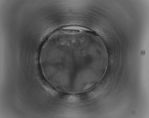 X0000091210303200708161549