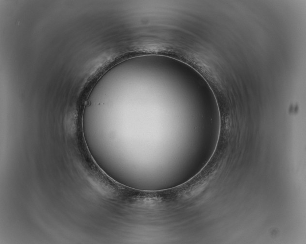 X0000091210304200708161549