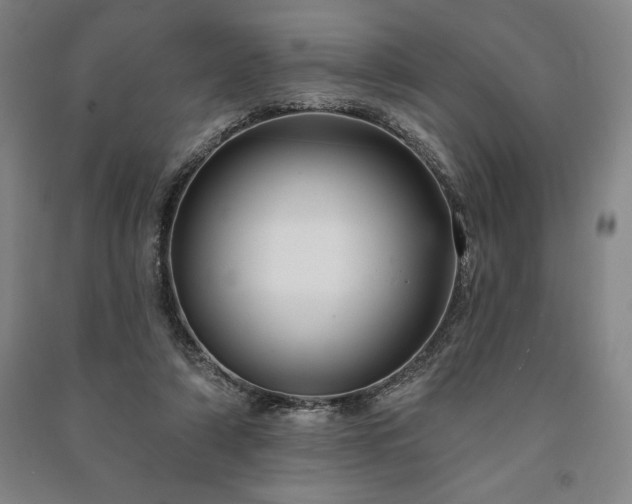 X0000091210306200708161548