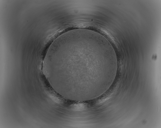 X0000091210307200708161548