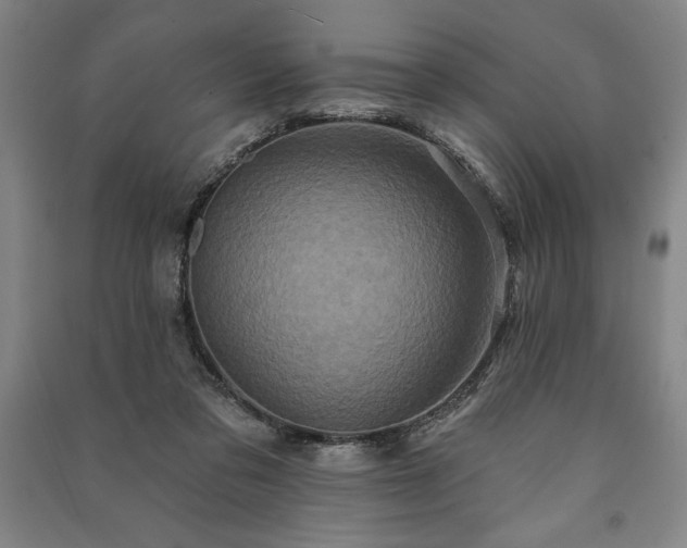 X0000091210309200708161548
