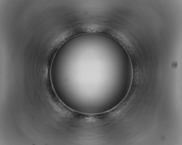 X0000091210310200708161548