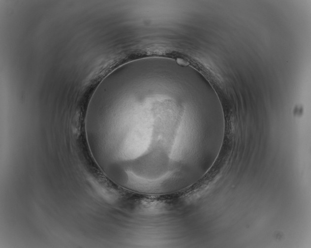 X0000091210311200708161548