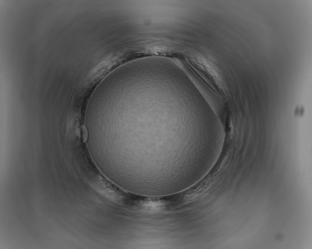 X0000091210313200708161548