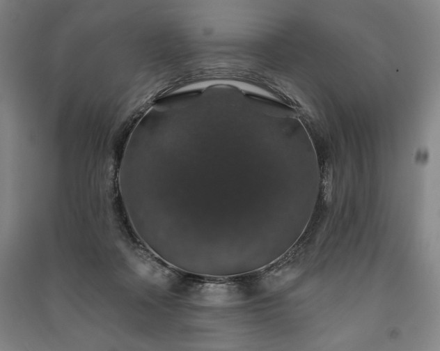 X0000091210314200708161548