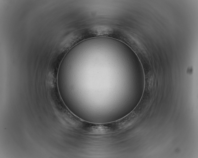 X0000091210316200708161548