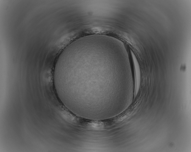 X0000091210317200708161548