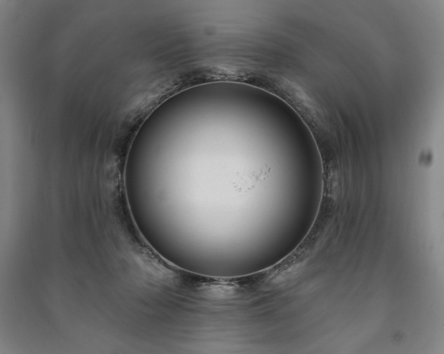 X0000091210318200708161548
