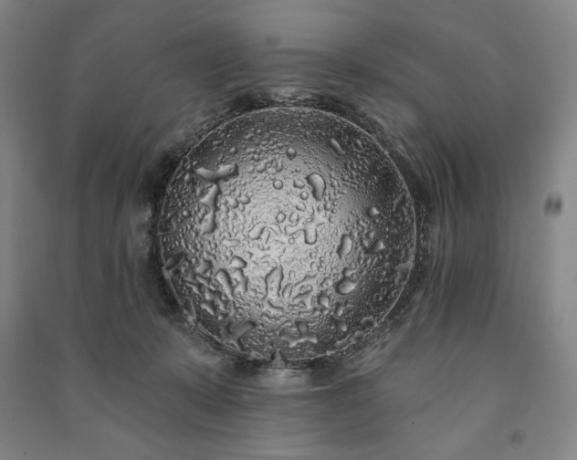 X0000091210319200708161548
