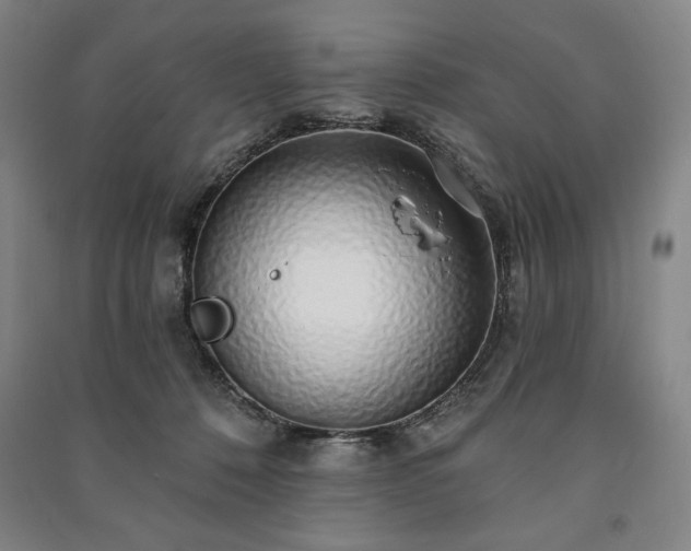 X0000091210320200708161548