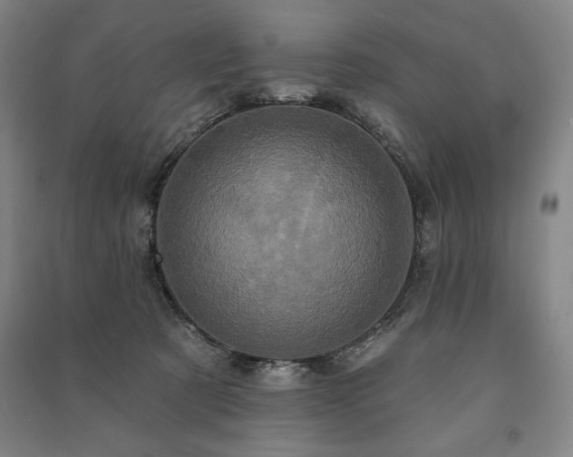 X0000091210321200708161548