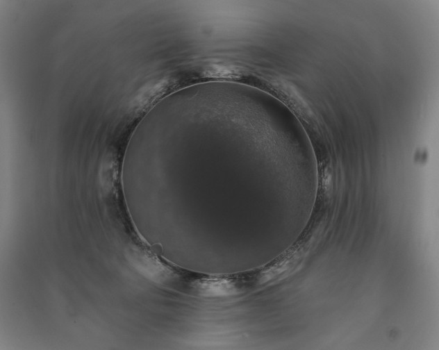 X0000091210322200708161548