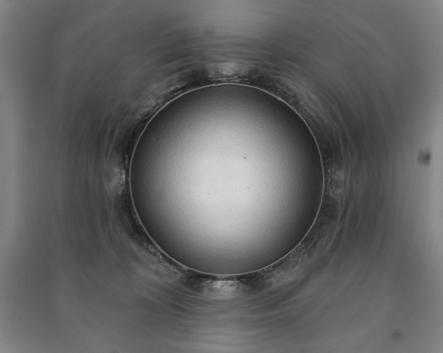 X0000091210324200708161548