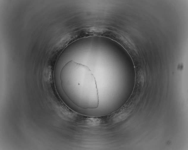 X0000091210328200708161548