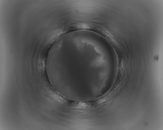 X0000091210330200708161548