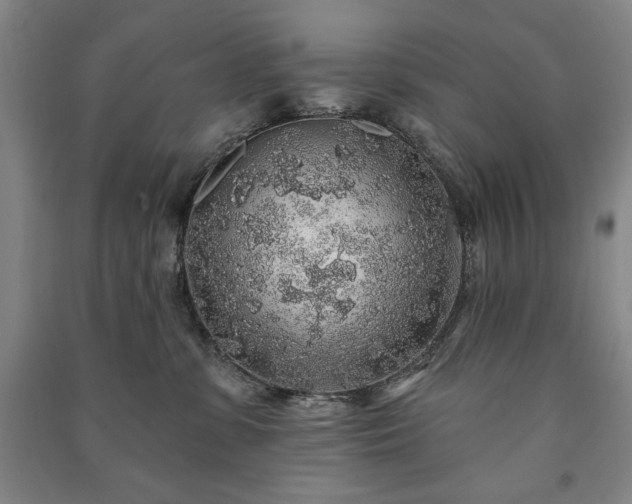 X0000091210331200708161548