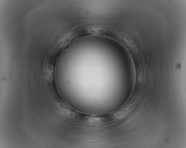X0000091210332200708161548