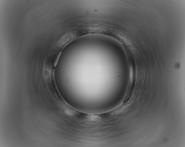 X0000091210333200708161548