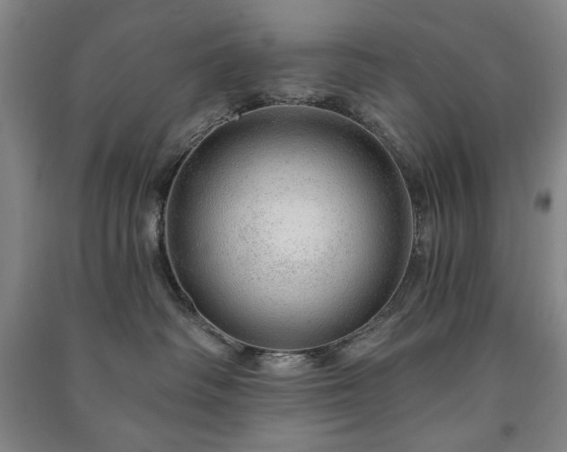X0000091210334200708161548