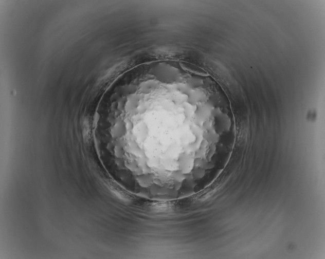 X0000091210335200708161548