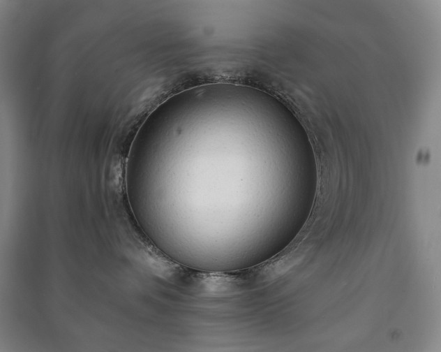 X0000091210336200708161548