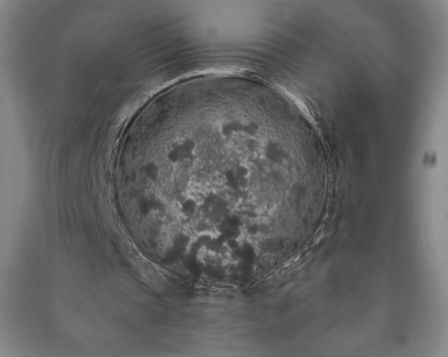 X0000091210337200708161547