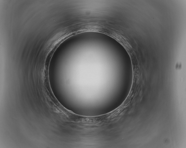X0000091210338200708161547