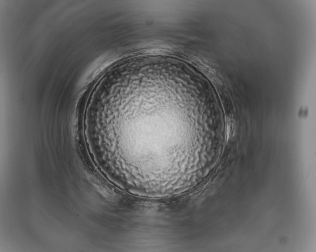 X0000091210339200708161547