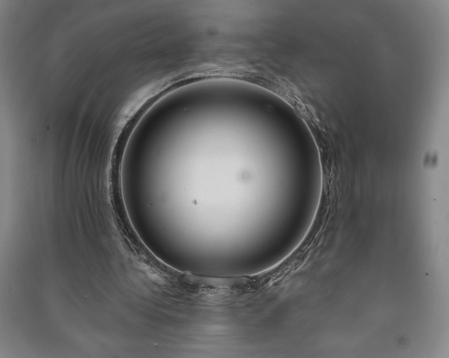 X0000091210340200708161547
