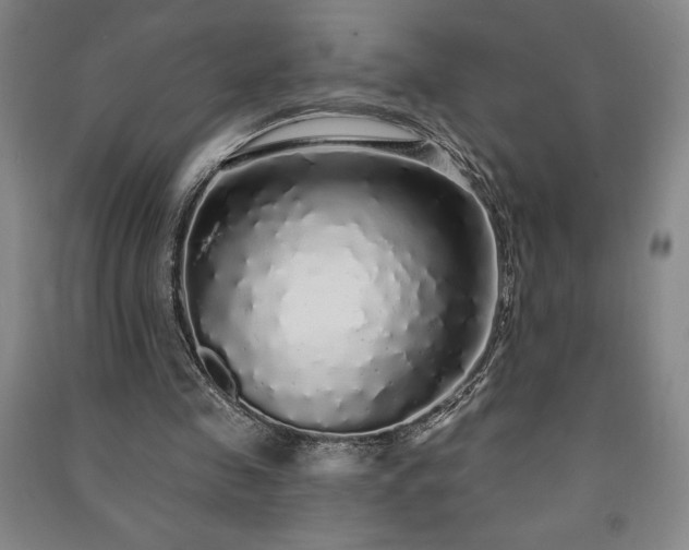 X0000091210341200708161547