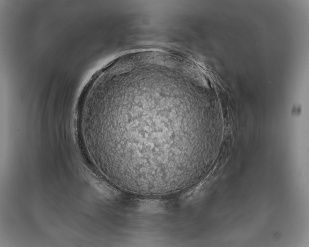 X0000091210342200708161547