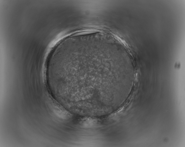 X0000091210343200708161547