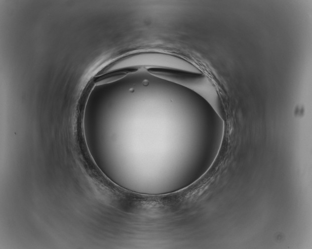 X0000091210344200708161547