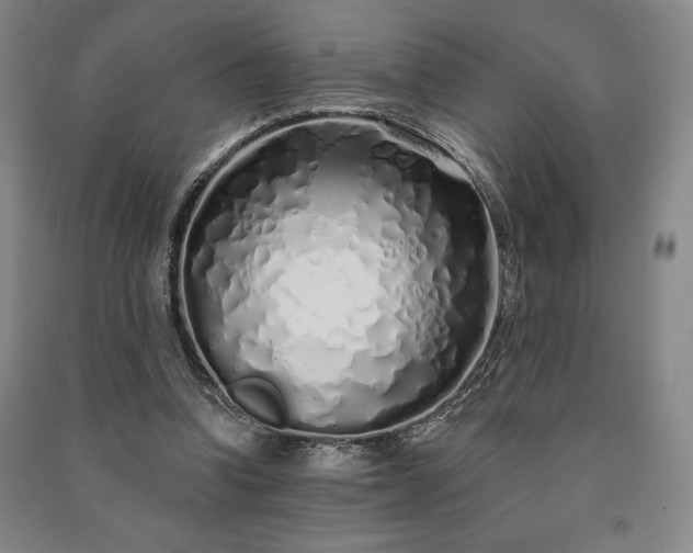 X0000091210346200708161547