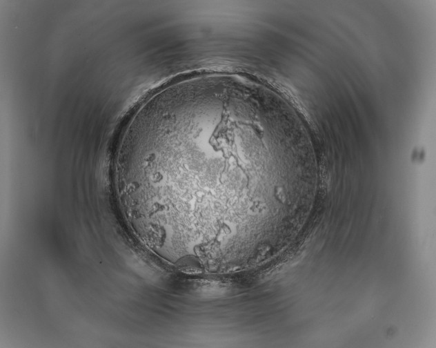 X0000091210347200708161547
