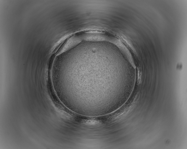X0000091210348200708161547
