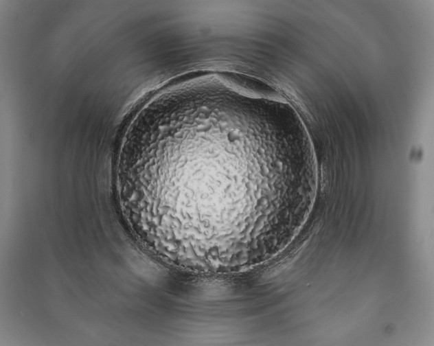 X0000091210349200708161547