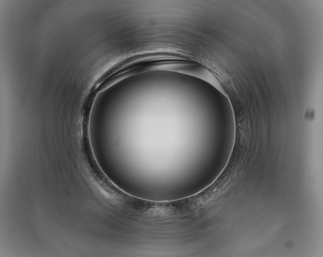 X0000091210350200708161547
