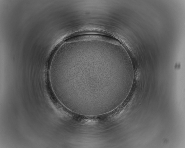 X0000091210352200708161547