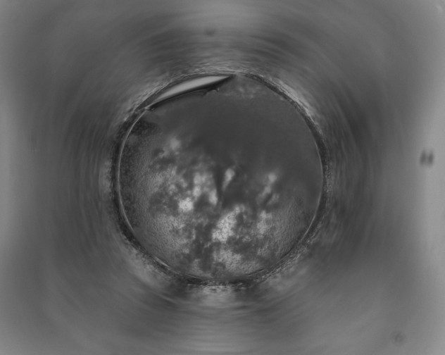 X0000091210353200708161547