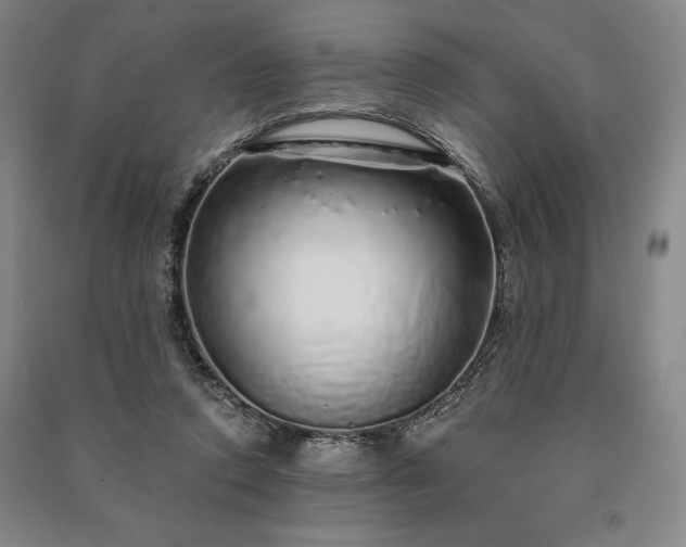 X0000091210354200708161547