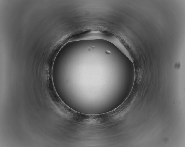 X0000091210356200708161547
